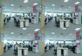 金山水生植物养护管理