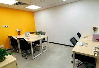 玉环市绿植养护费用